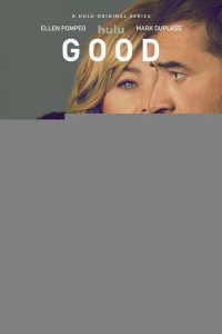 Хорошая американская семья 1 сезон